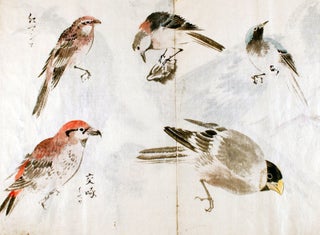 The Various Birds: Fifty-six Varieties. The Color of the Bird, Shape of the Body.