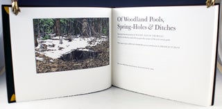 Of Woodland Pools, Spring-Holes & Ditches.