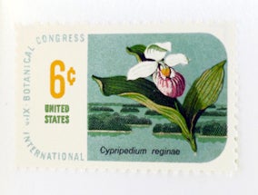 Flowers & Plants on United States Postage Stamps.