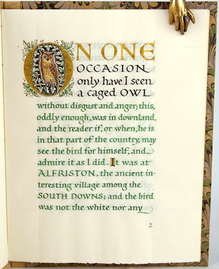 Item #28917 The Owl at Alfriston. W. H. Hudson