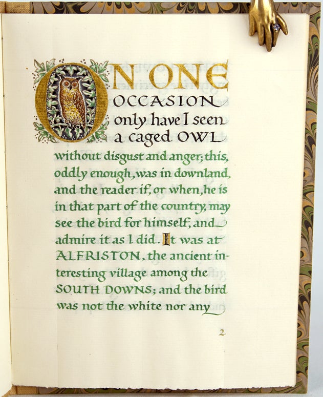 Item #28917 The Owl at Alfriston. W. H. Hudson.