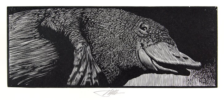Item #31178 The Animals: The Engravings of Barry Moser.