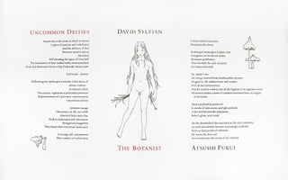 Item #31209 Uncommon Deities. David Sylvian