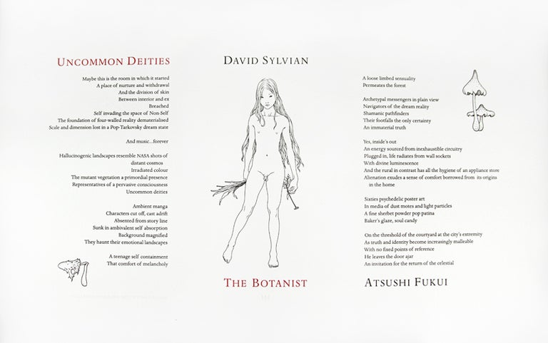 Item #31209 Uncommon Deities. David Sylvian.