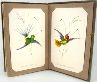 Item #31597 Humming Birds. Part 1 and Part 2