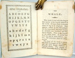 The Child's Book About Whales.
