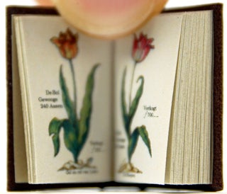 Item #32347 Tulip Book by P. Cos. P. Cos